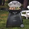 Weber Weber Q3200 LP Grill