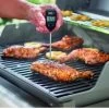 Weber InstantRead Thermometer
