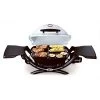Weber Q1200 Titanium Grill
