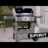 Weber SpirII E310BLK LP Grill