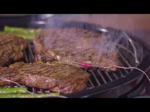 Weber IGrill Mini Thermometer