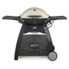 Weber Q™ 3200™ Natural Gas Grill - Titanium